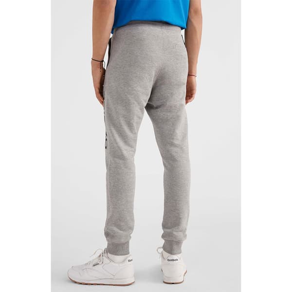 O´neill Logo Sportsbukser Grå 2XL Mand