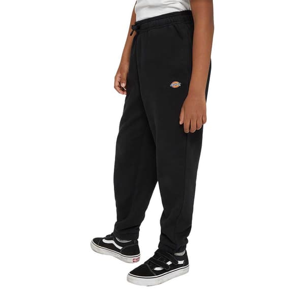 Dickies Youth Mapleton Mjukisbyxor Svart L Man