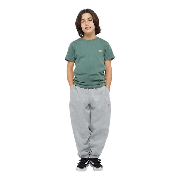 Dickies Youth Mapleton Hikihousut Harmaa L Mies