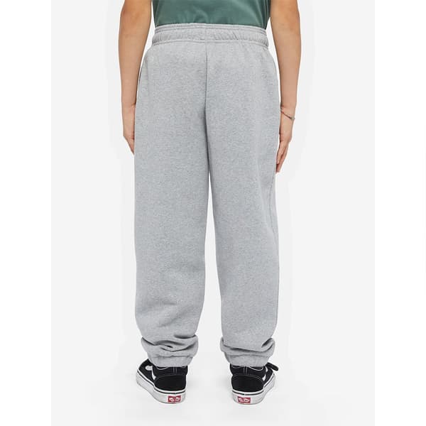 Dickies Youth Mapleton Hikihousut Harmaa L Mies