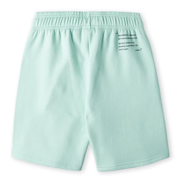 O´neill Future Surf Shorts Grönt 9-10 Years Pojke