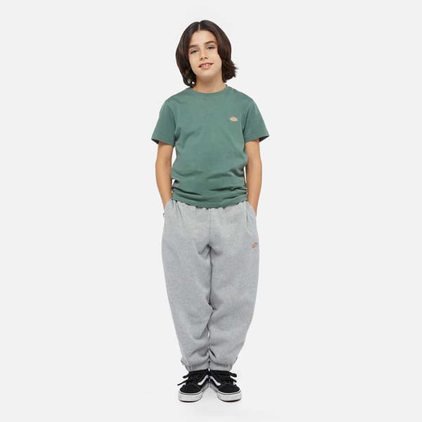 Dickies Youth Mapleton Sportsbukser Grå 2XS Mand
