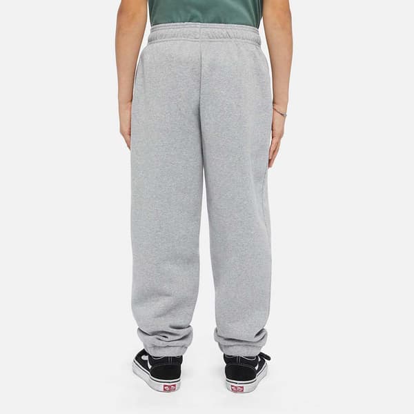 Dickies Youth Mapleton Sportsbukser Grå 2XS Mand