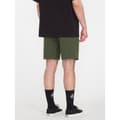 Miniatyrbild 4 av 7: Volcom Hoxstop 18´´ Sportshorts Grönt S Man