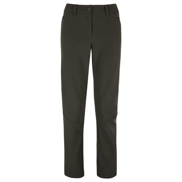 Salewa Terminal Durastretch Byxor Grönt XL / Regular Kvinna