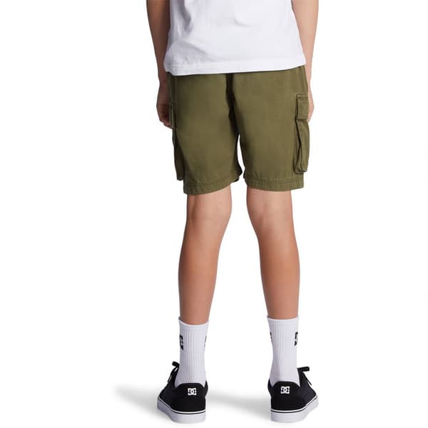 Dc Shoes Tundra Shorts Grøn 16 Years Dreng