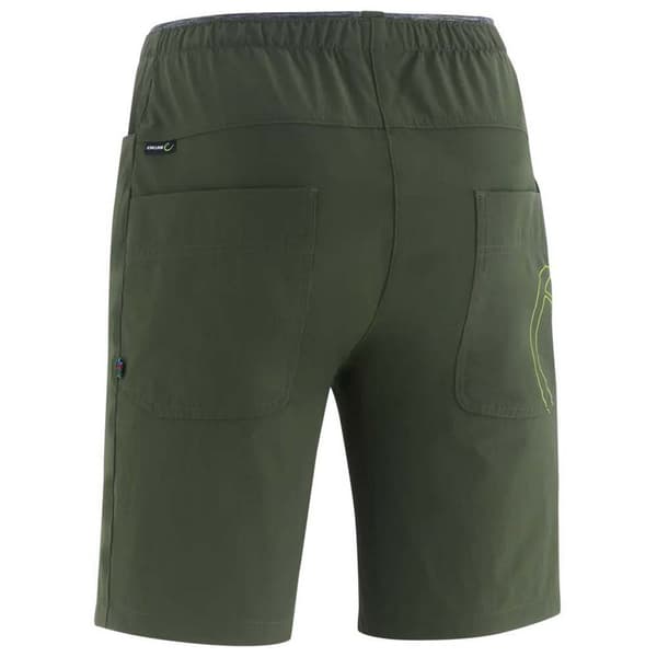 Edelrid Radar Shorts Grøn L Mand