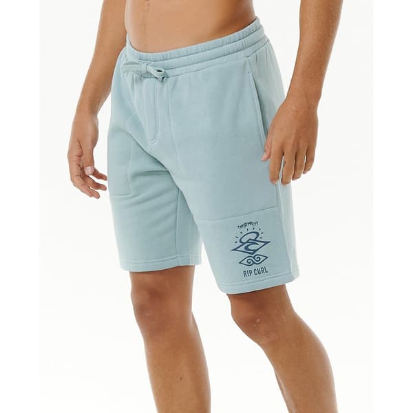Rip Curl Search Icon Sports Shorts Grå XL Mand