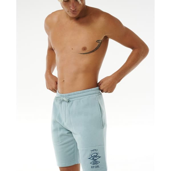 Rip Curl Search Icon Sports Shorts Grå XL Mand
