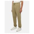 Pikkukuva 4 / 6: Dickies Mapleton Hikihousut Beige XS Mies