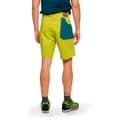 Miniatyrbild 2 av 5: Trangoworld Luegli Shorts Grönt 2XL Man