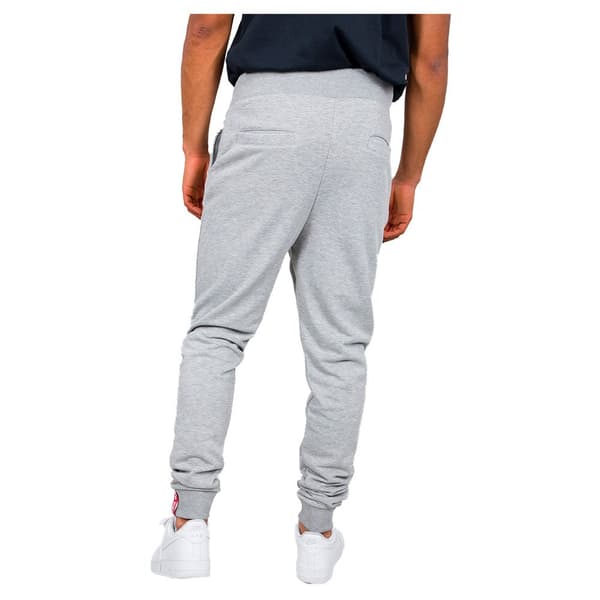 Alpha Industries Big Letters Joggers Grå L Mand