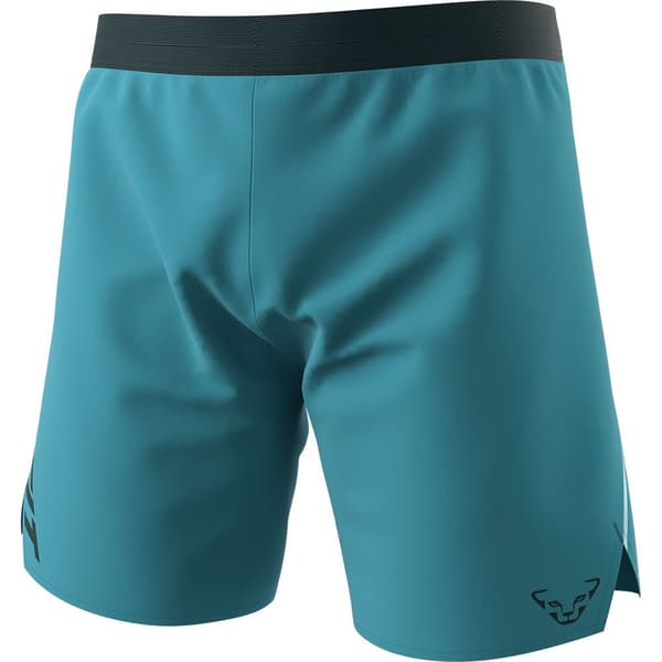 Dynafit Alpine Shorts Blå 2XL Mand