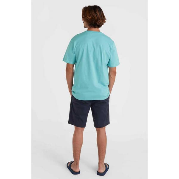 O´neill Essentials Chinoshorts Blå 34 Mand