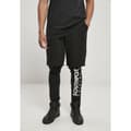 Miniatyrbillede 1 af 5: Southpole Avec Sports Shorts Sort L Mand