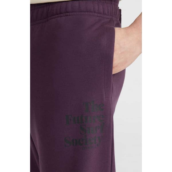 O´neill The Future Surf Society Sportsbukser Lilla 2XL Mand
