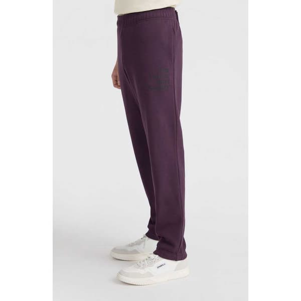 O´neill The Future Surf Society Sportsbukser Lilla 2XL Mand