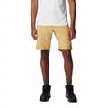 Pikkukuva 1 / 4: Columbia Silver Ridge™ Utility Shortsit Keltainen 32 / 8 Mies