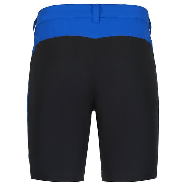Icepeak Batavia Shorts Blå 52 Man