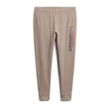 Miniatyrbild 3 av 7: Superdry Sportswear Logo Tapered Joggers Beige 2XL Man