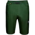 Miniatyrbild 3 av 4: Mammut Massone Shorts Grönt 44 Man