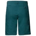 Miniatyrbild 4 av 6: Vaude Neyland Ii Shorts Grönt 48 Man