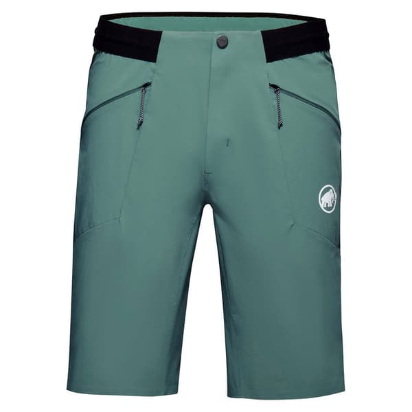 Mammut Aenergy Light Shortsit Vihreä 48 Mies