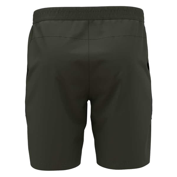 Odlo Ascent 365 Shorts Grøn 54 Mand