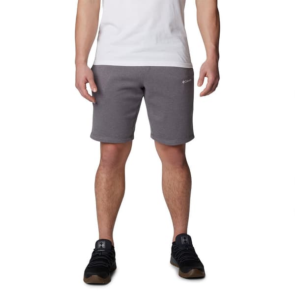 Columbia Logo Shortsit Harmaa S / 8 Mies