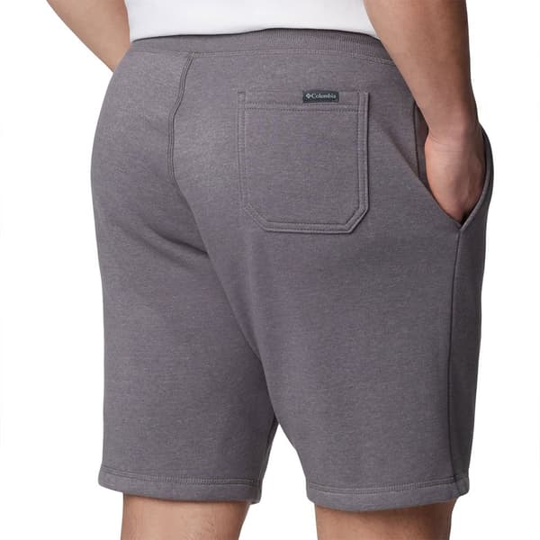 Columbia Logo Shortsit Harmaa S / 8 Mies