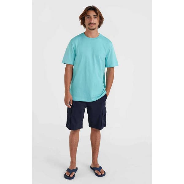 O´neill Essentials Chinoshorts Blå 30 Mand
