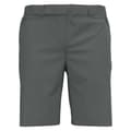 Pikkukuva 1 / 2: Odlo Ascent Light Shortsit Harmaa 54 Mies