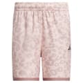 Pikkukuva 3 / 3: Adidas Crazy Lite Cheetah Allover Print Naisten Shortsit  M / Regular Mies