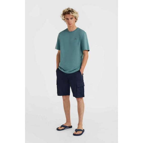 O´neill Essentials Cargo Shorts Blå 34 Mand