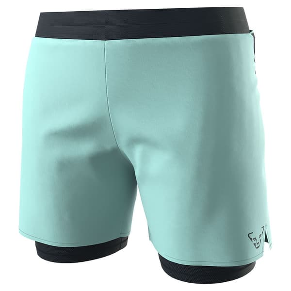 Dynafit Alpine Pro Shorts Blå XL Kvinde