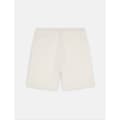 Miniatyrbillede 2 af 5: Dickies Mapleton Shorts Beige XS Mand
