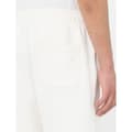 Miniatyrbillede 5 af 5: Dickies Mapleton Shorts Beige XS Mand