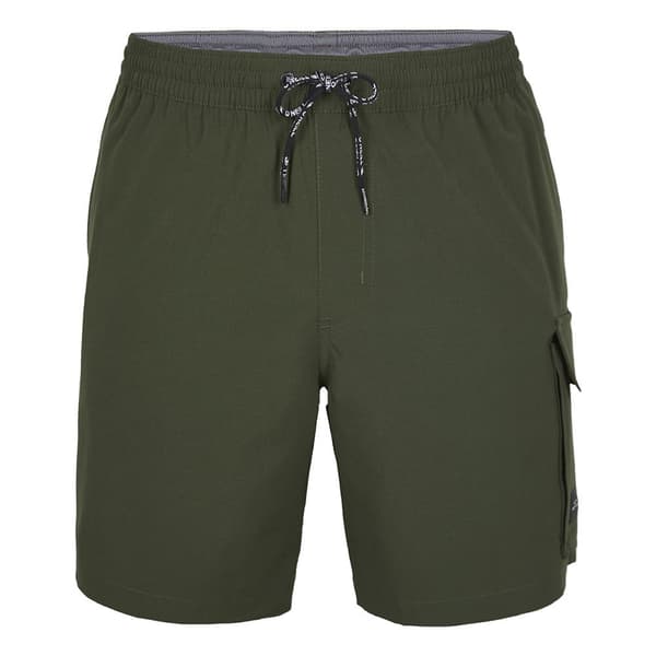 O´neill All Day 17´´ Hybrid Shorts Grönt S Man