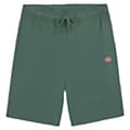 Miniatyrbillede 1 af 3: Dickies Mapleton Shorts Grøn L Mand