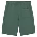 Miniatyrbillede 2 af 3: Dickies Mapleton Shorts Grøn L Mand