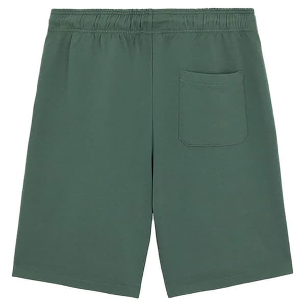 Dickies Mapleton Shorts Grøn L Mand