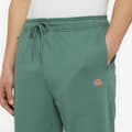 Miniatyrbillede 3 af 3: Dickies Mapleton Shorts Grøn L Mand