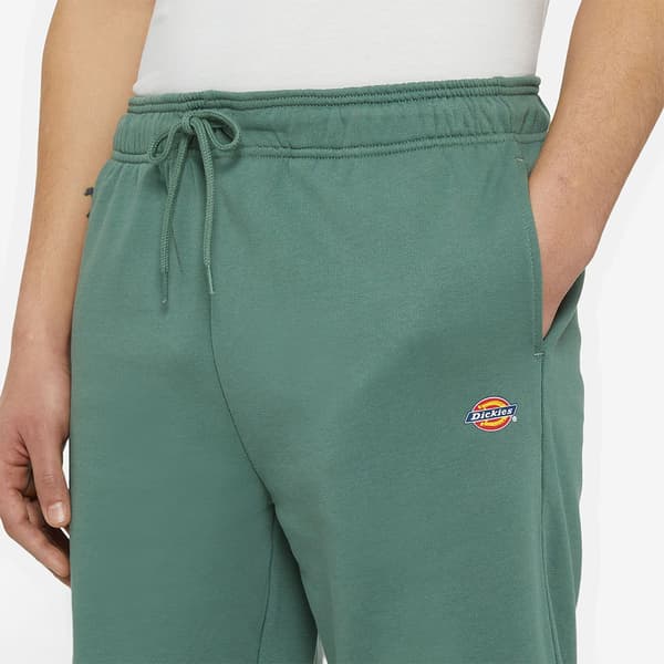 Dickies Mapleton Shorts Grøn L Mand