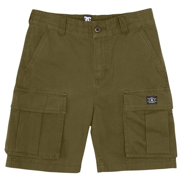 Dc Shoes Tundra Shortsit Vihreä 10 Years Poika