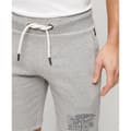 Pikkukuva 5 / 7: Superdry Athletic Coll Graphic Shortsit Harmaa S Mies