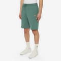 Pikkukuva 5 / 6: Dickies Mapleton Shortsit Vihreä S Mies