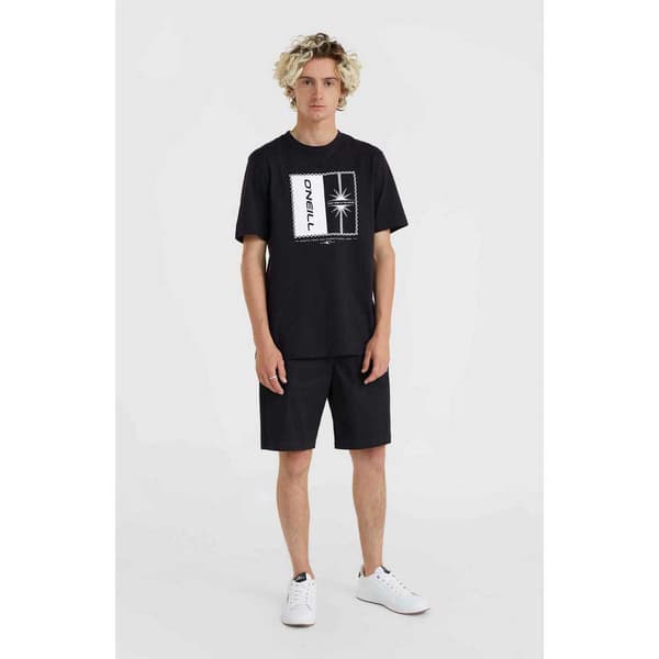 O´neill Essentials Chinoshorts Svart 30 Man