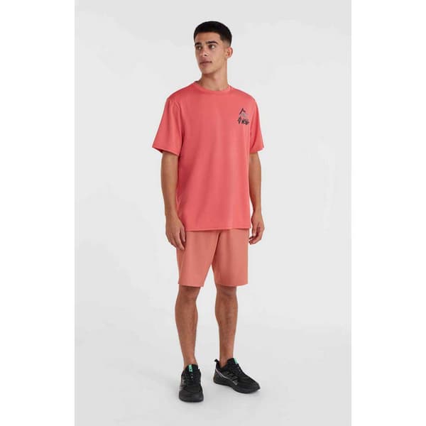 O´neill Hybrid Chinoshorts Orange 34 Mand