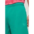 Pikkukuva 5 / 6: Superdry Vintage Washed Urheilushortsit Pinkki XL Mies