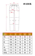 Miniatyrbillede 2 af 11: Premium PRO arbejdsbukser, str. XL